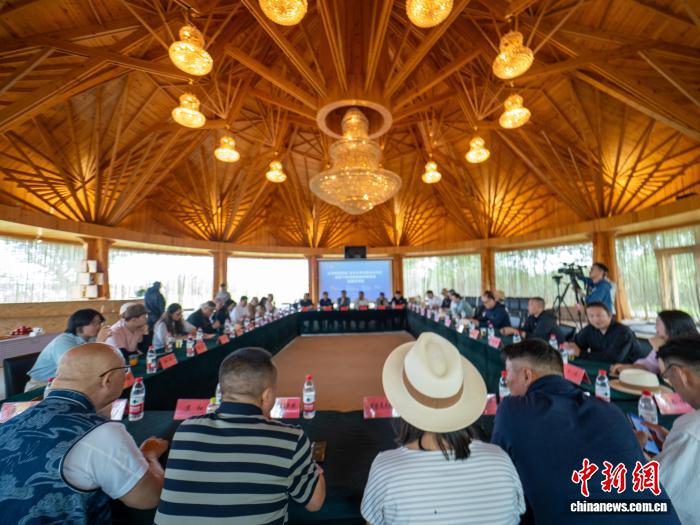 挑战极限，3377体育带您感受体育的无限魅力 - 3377
