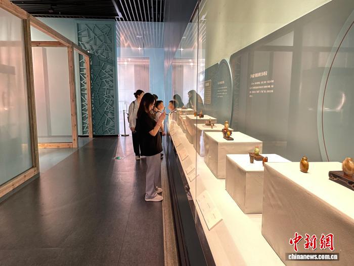 挑战极限，3377体育带您感受体育的无限魅力 - 3377