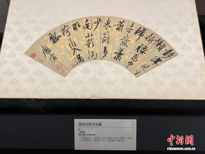 挑战极限，3377体育带您感受体育的无限魅力 - 3377